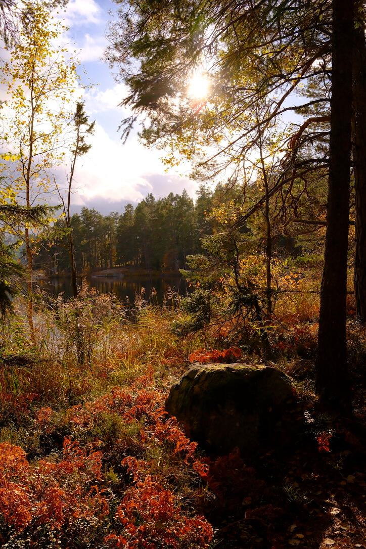 Landscape