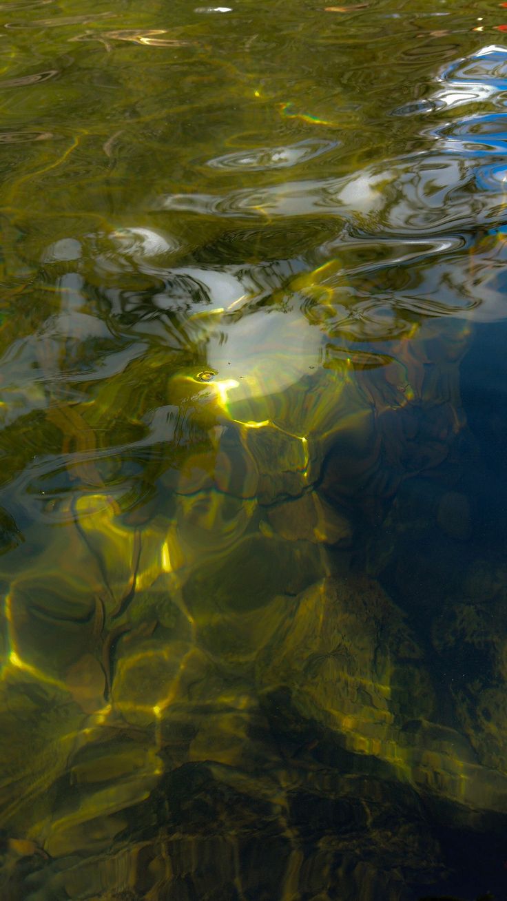 Using AI for Environmental Solutions